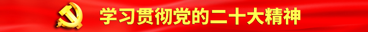 草死同桌认真学习贯彻落实党的二十大会议精神